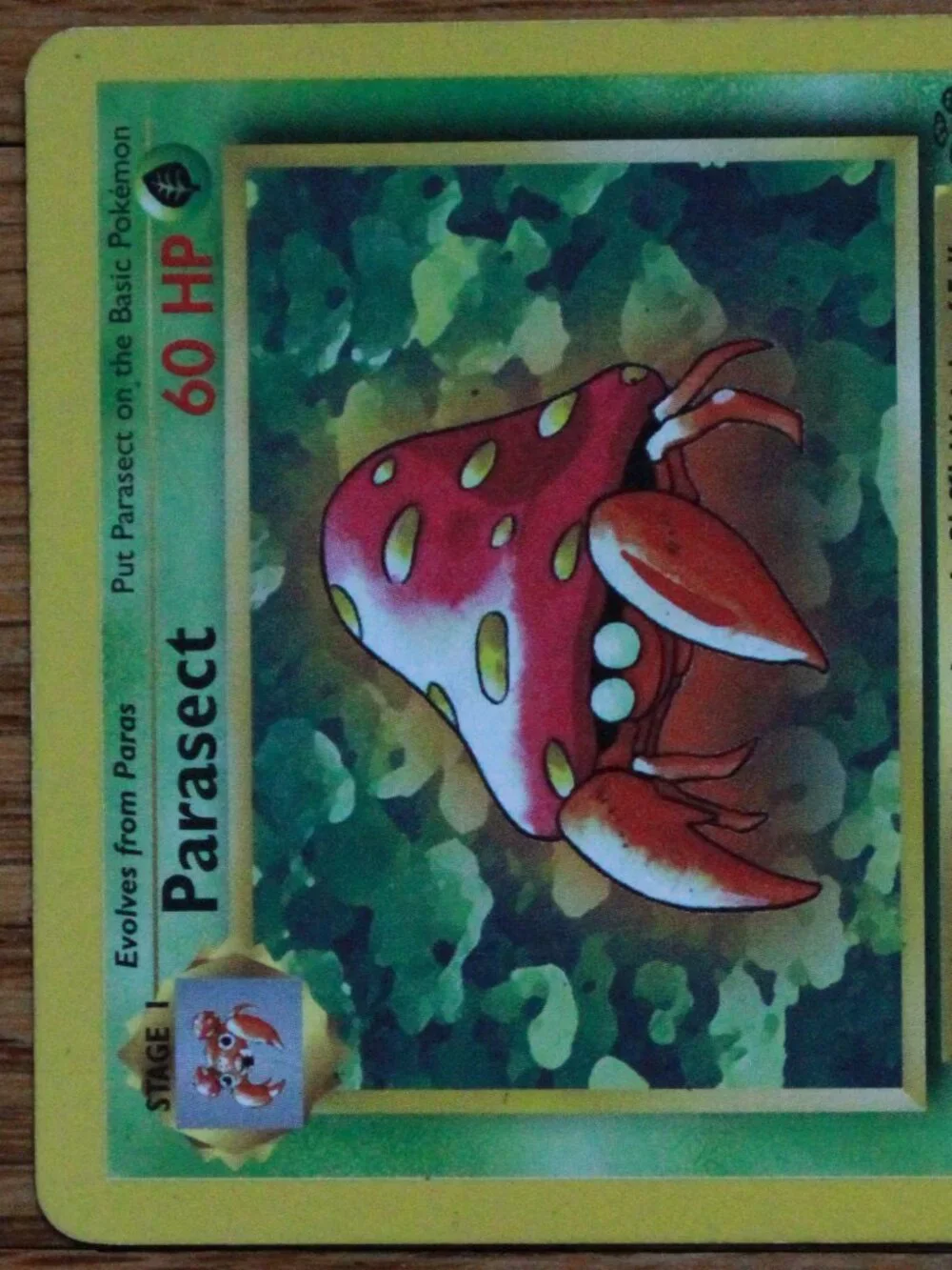 Vintage Pokemon 1999 